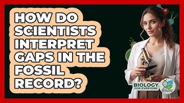 How Do Scientists Interpret Gaps In The Fossil Record? - Biology For Everyone