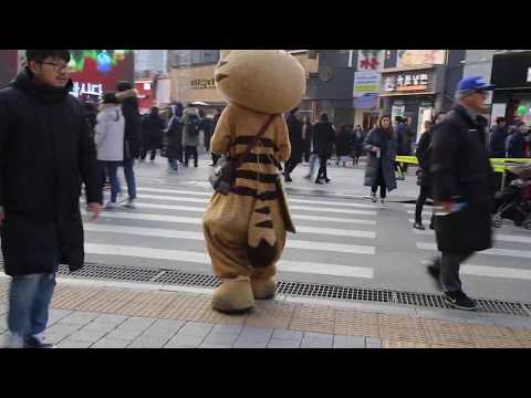 JHKTV] 신촌 명물고양이아기천사 shin chon special <strong>cat</strong> Baby <strong>angel</strong>  (walz)