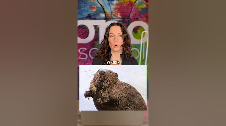 Что будет, если украсть бобра? 🦫 #историяегэ #история