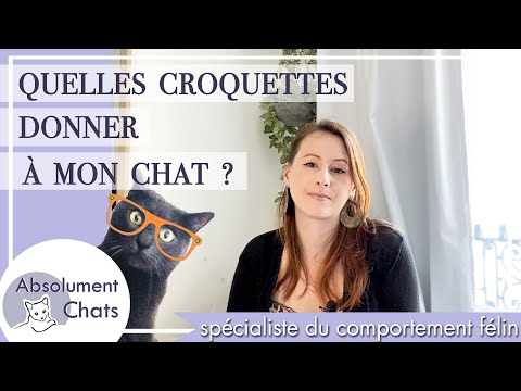 Vidéo: Nourriture Pour Chat De Classe économique: Une Liste Des Meilleures Marques Bon Marché, Composition, Avis Des Vétérinaires Et Des Propriétaires