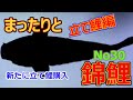 まったりと錦鯉No30【新たに立て鯉購入】