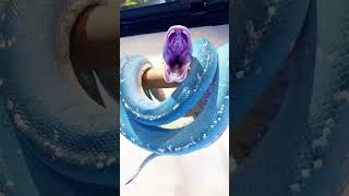 Yılanlar Kulaksız Duyar Mı? Cevap Sizi Şaşırtacak 🐍👂😲