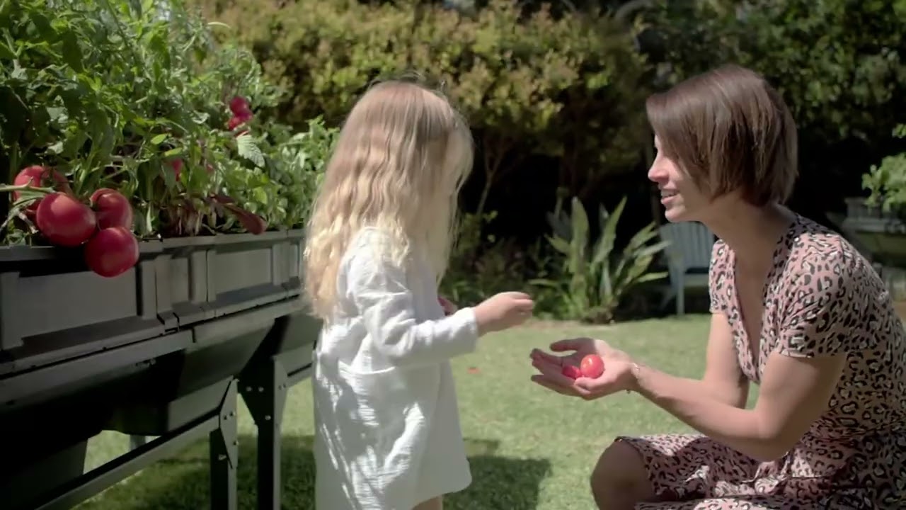 Vegepod Self-Watering Small Container Garden with Stand &amp; Cover on QVC
