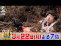 『アイアム冒険少年』3/22(月) Snow Man 向井が隠れ身の術!? 密林に潜む対戦者の顔をスマホカメラで捕らえよ!!【TBS】