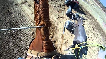 Team Roping Position 7: Heeling steers that run Right