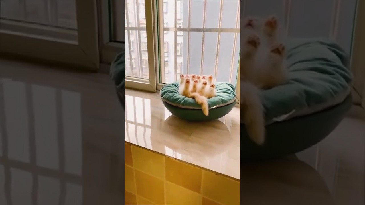 synchronized sleep 😴💤