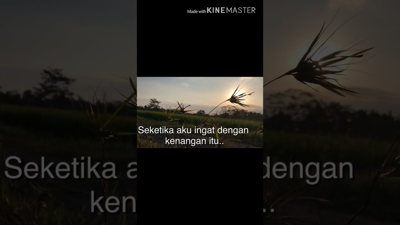 Tentang senja YouTube