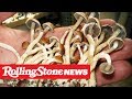 Oakland Decriminalizes Psychedelic Mushrooms | RS News 6/6/19