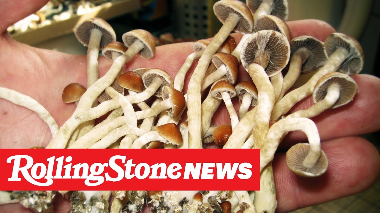 Oakland Decriminalizes Psychedelic Mushrooms | RS News 6/6/19