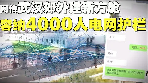 3月16日武汉新冠病毒疫情要闻快报：张文宏打脸钟南山，疫情到夏天不可能结束！回国免费治病？你想多了！武汉四环外建容纳4000人方舱。电网围栏！ - 天天要闻
