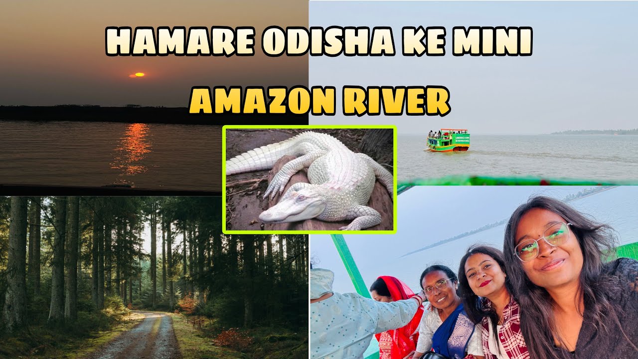 India’s 2nd Largest Mangrove (Bhitarkanika)🐊||Odisha MiniAmazon River||@SilentPIHU-u9o #bhitarkanika