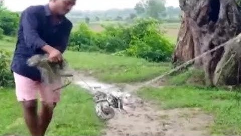 7-Feet Long Python Rescued In Odisha