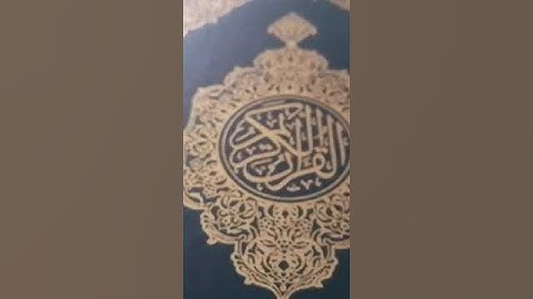 سورة الاخلاص الشيخ الصغير محمد علاء