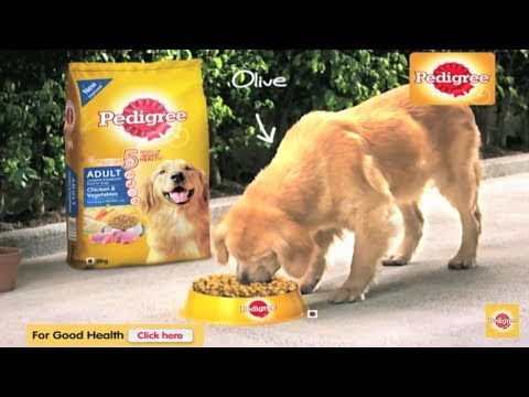 is pedigree puppy food good for my puppy