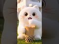 Bongo Cat Drinks Boba 🧋 ASMR#BongoCat #ASMR #Boba #Mukbang #Slurp #Satisfying #OddlySatisfying