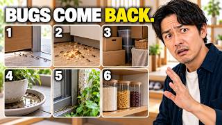 Why Bugs Keep Coming Back — 9 Japanese Home Rules That Keep Them Out