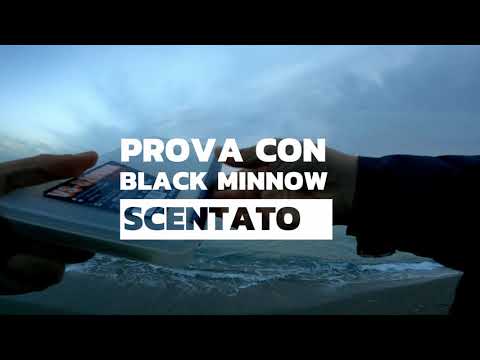 PROVA con BLACK MINNOW e pasta ATTRACTANT fiiish - primo test in mare - clipangler