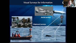 Whale Acoustics with Julianne Wilder @AutisticAdvocacy