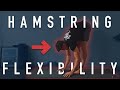 25 Minute Hamstring Flexibility Routine V2 (FOLLOW ALONG)