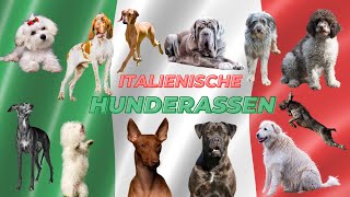 Italienische Hunderassen by Hunderassen aus aller Welt 624 views 1 year ago 58 seconds