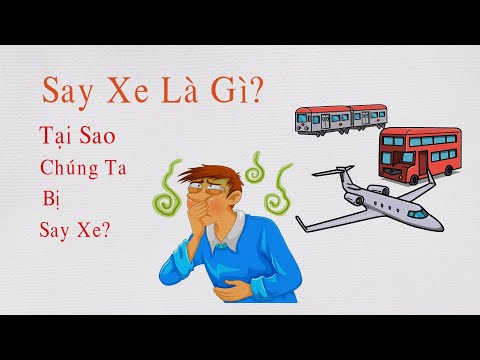 Say Tàu Xe Là Gì? | Tại Sao Chúng Ta Bị Say Xe? | 6 Biện Pháp Chống Say Xe Hiệu Quả Nhất
