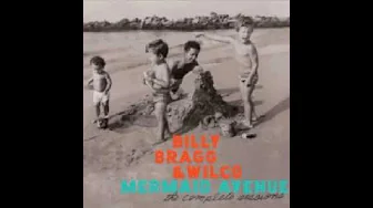Billy Bragg & Wilco - Hesitating Beauty (LP Version)