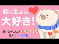 飼い主を好きすぎる愛犬によく見られる7つの行動