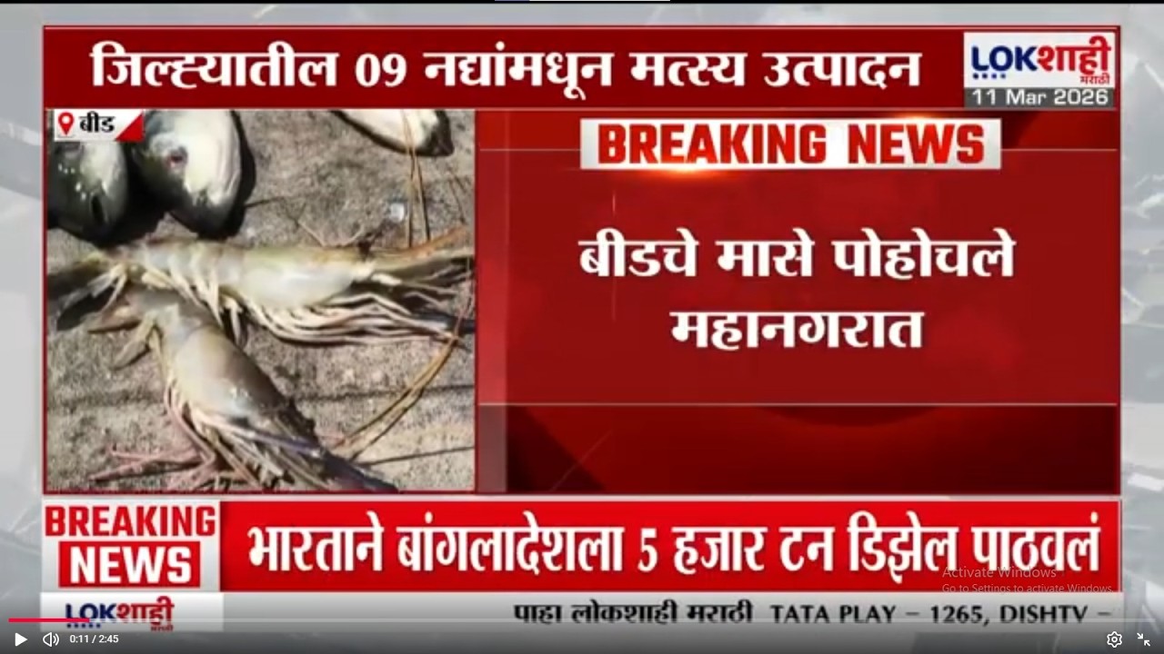 Beed चे मासे पोहोचले महानगरात; जिल्ह्यातील 09 नद्यांमधून मत्स्य उतपादन | Lokshahi Marathi