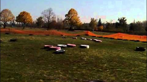 Serpent s811 Cobra in Bulgaria