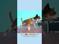 あなたは猫が好きですか？#事件