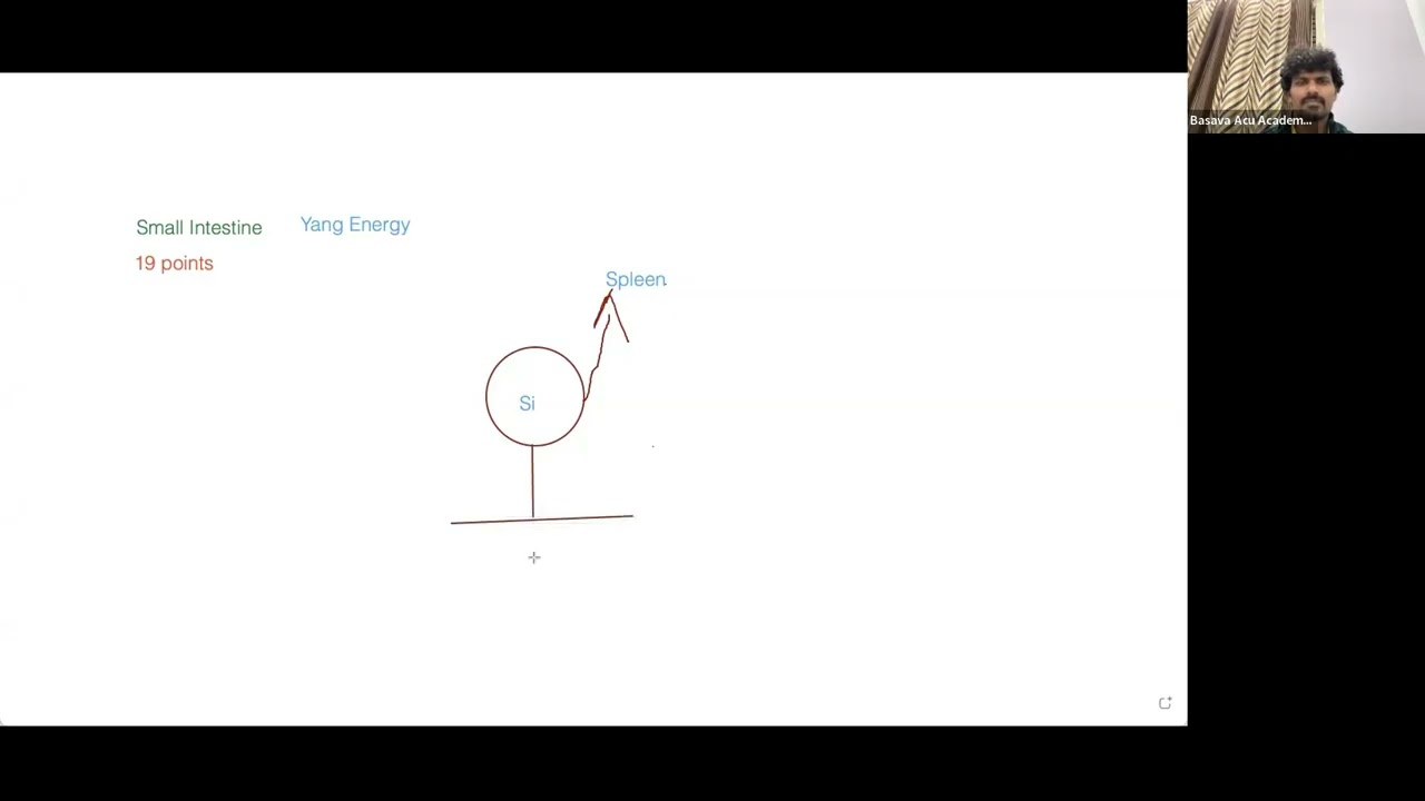 छोटी आंत अपशिष्ट को कैसे अलग करती है! How Small Intestine Segregates Waste