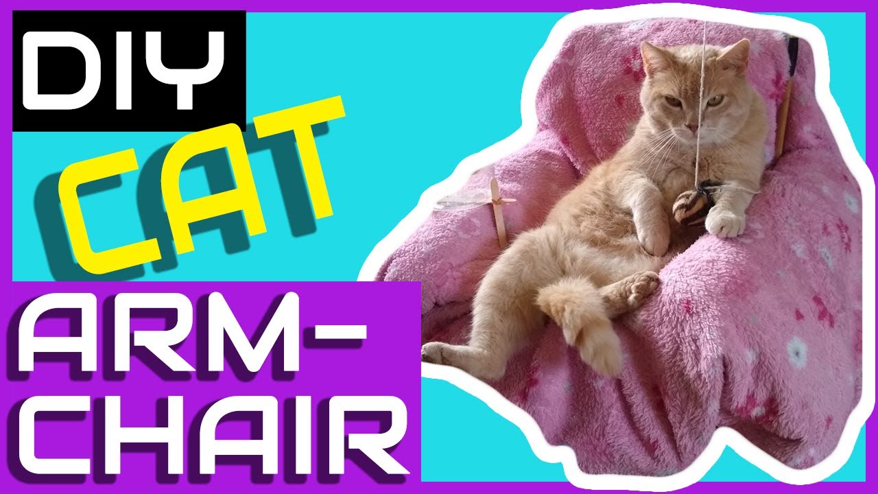 DIY Cat Lazy Boy Armchair Thanks To Evan And Katelyn YouTube DIY Cat Lazy Boy Armchair Thanks To Evan And Katelyn YouTube