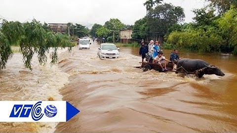 Nỗi buồn lũ đồng bằng sông Cửu Long về muộn | VTC