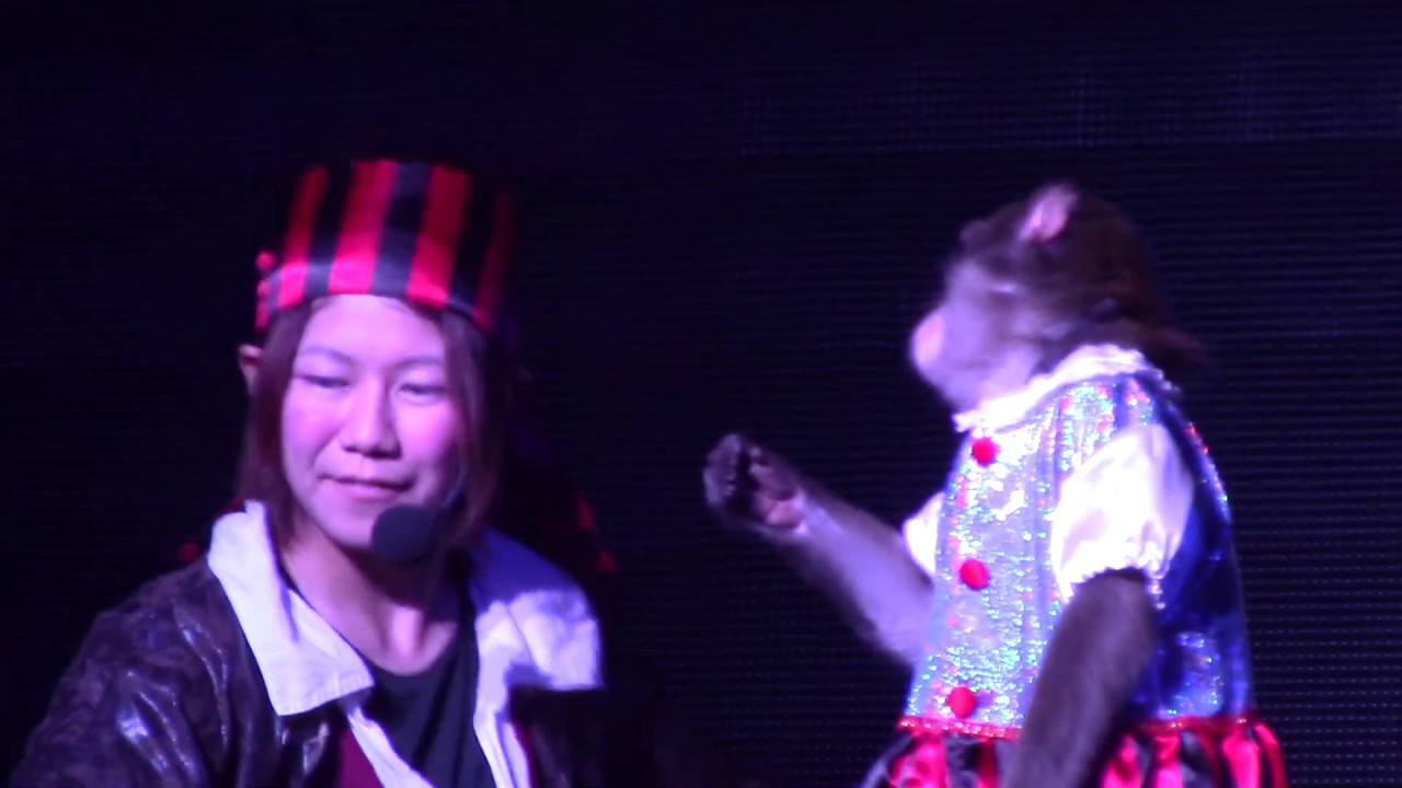 引退　あんみつ　最後の公演