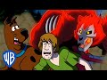 Scooby-Doo! Polsku | W legowisku upiornego niedźwiedzia! Z Johnem Ceną | WB Kids