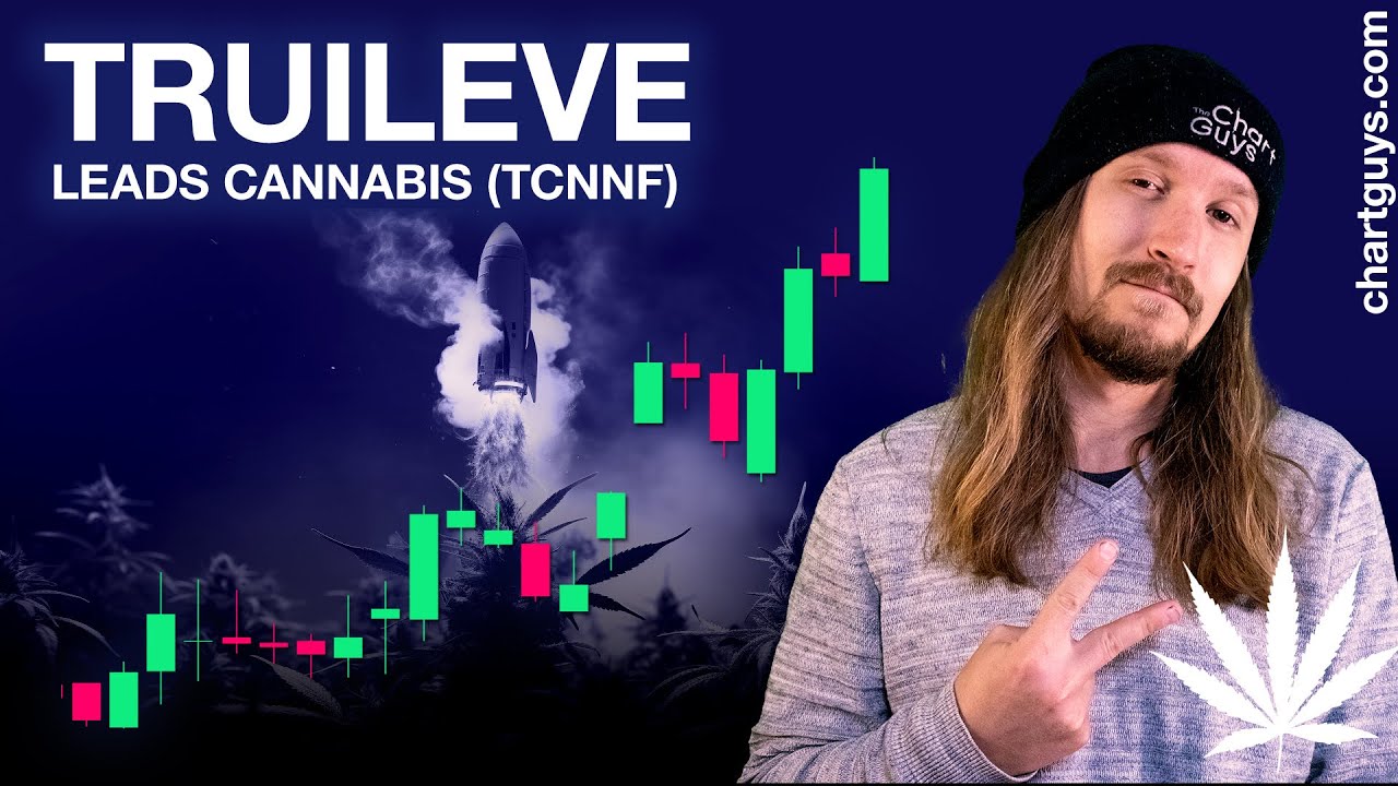 Cannabis Stocks Surge