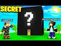 I built a SECRET Surprise for noob Girl... (Minecraft)