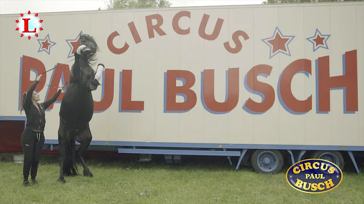 Alltag im Circus Paul Busch | Teil 2 | Tierproben,...
