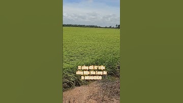 97 triệu công Mộc Hóa Long An giá 97triệu công lh 0854645939