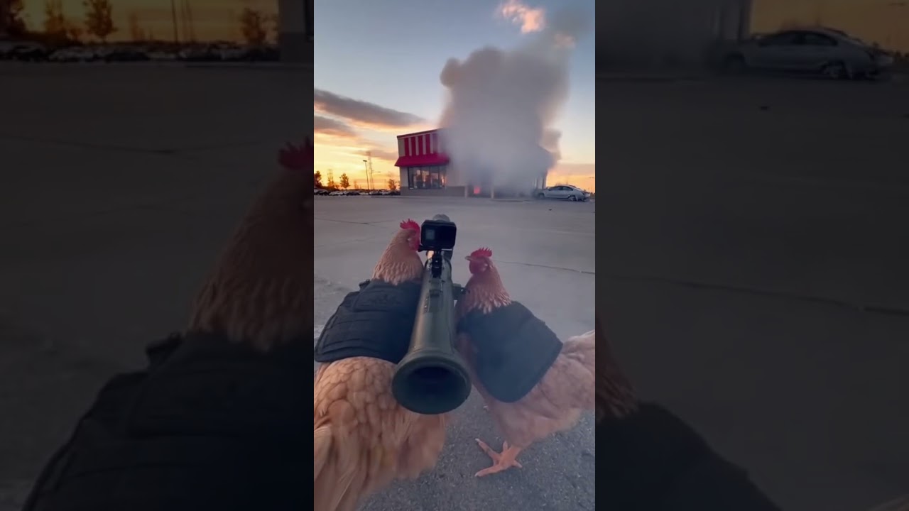 When Chickens Take Revenge on KFC! 🐔💥