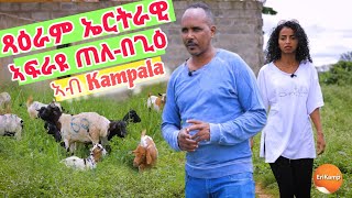 🔴ጻዕራም ኤርትራዊ ኣብ ካምፓላ/Life in Kampala||ጠለ-በጊዕ ኣፍርዩ ናብ ዕዳጋ ዘቅርብ|| Eritreans in Kampala Erikamp Tv 2024
