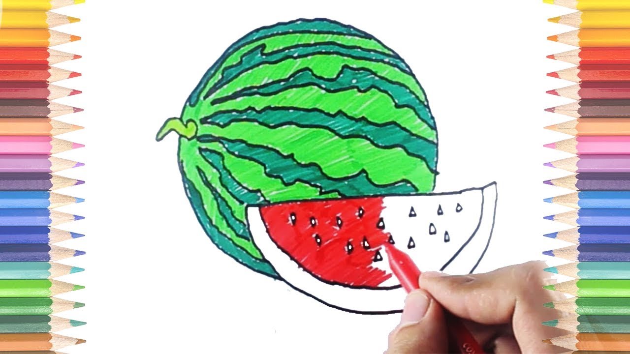 How to Draw and Color Watermelon Coloring Pages Preschool Education to Learn for Kids and Toddlers
