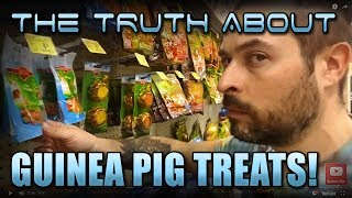 The Truth About Guinea Pig Treats!