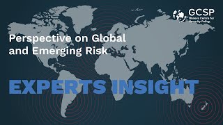 Perspective on Global and Emerging Risk