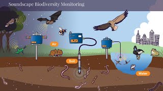 video: Noisy earthworms may mean healthy soil, say researchers