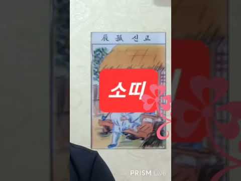 <strong>소띠</strong> 오늘의운세 2024년11월2일 토요일 띠별운세 #운세 #오늘의운세