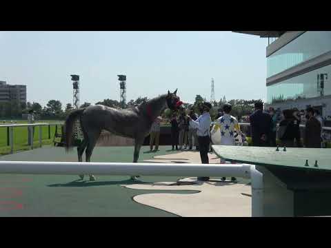 トウセツ 現地 口取り 3歳1勝クラス 藤岡康太騎手 2022/5/7 中京競馬場 8R