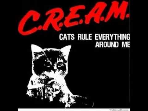 Rat Bros. - Song for Jeremy (Contest Winner #2) Cats.Rule ...