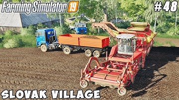 Harvesting potatoes, spreading manure with new spreader | Slovak Village | FS 19 | Timelapse #48