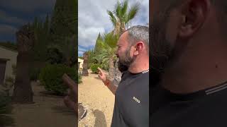👉🇪🇸Аренда,продажа недвижимости Costa Blanca👉По рекламе пиши в директ